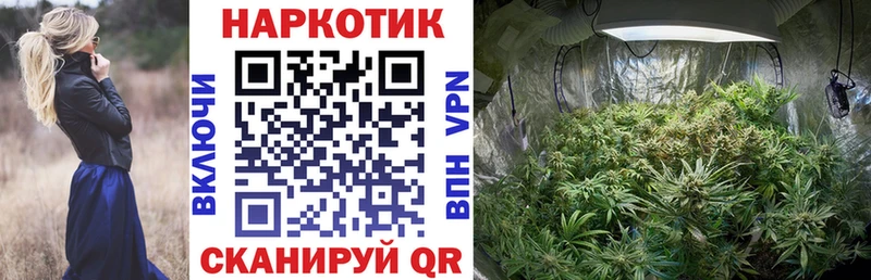 Альфа ПВП Находка