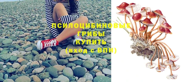 МДПВ Горняк